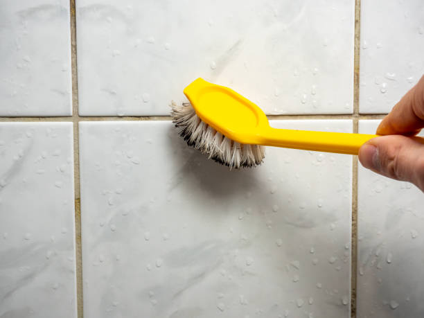 Best Professional Mold Removal  in Terre Du Lac, MO