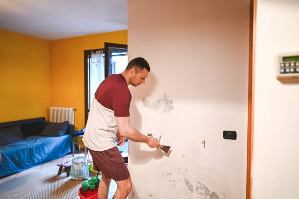 Best Best Mold Removal Companies  in Terre Du Lac, MO