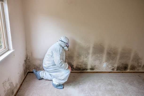 Best Mold Testing  in Terre Du Lac, MO