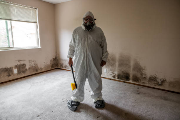 Best Toxic Mold Removal  in Terre Du Lac, MO